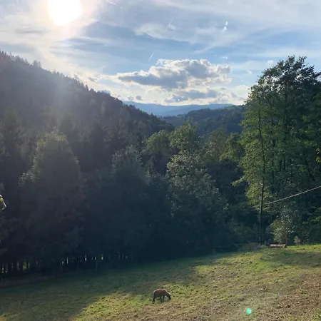 Black Pearl - Blockhaus Inmitten Der Villa Obergösel