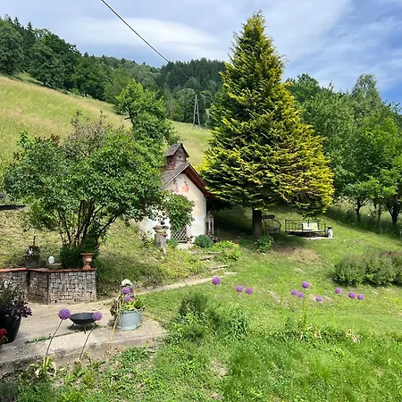 Black Pearl - Blockhaus Inmitten Der * Obergösel