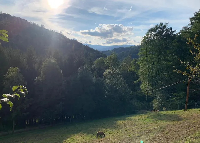 Black Pearl - Blockhaus Inmitten Der Willa Obergösel