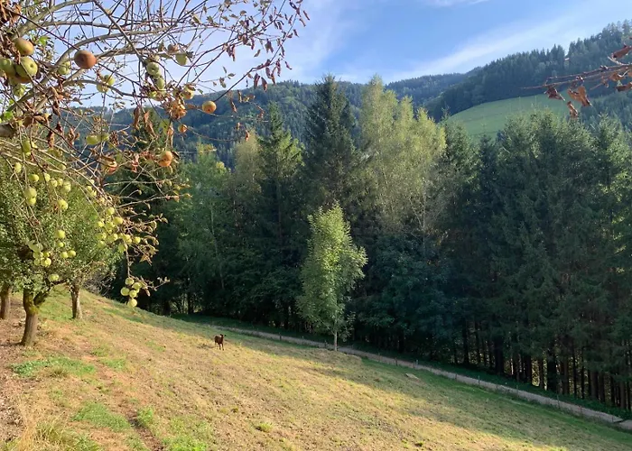 Black Pearl - Blockhaus Inmitten Der Willa *